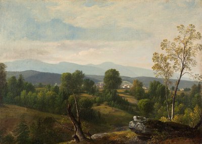 Ein Blick ins Tal von Asher Brown Durand